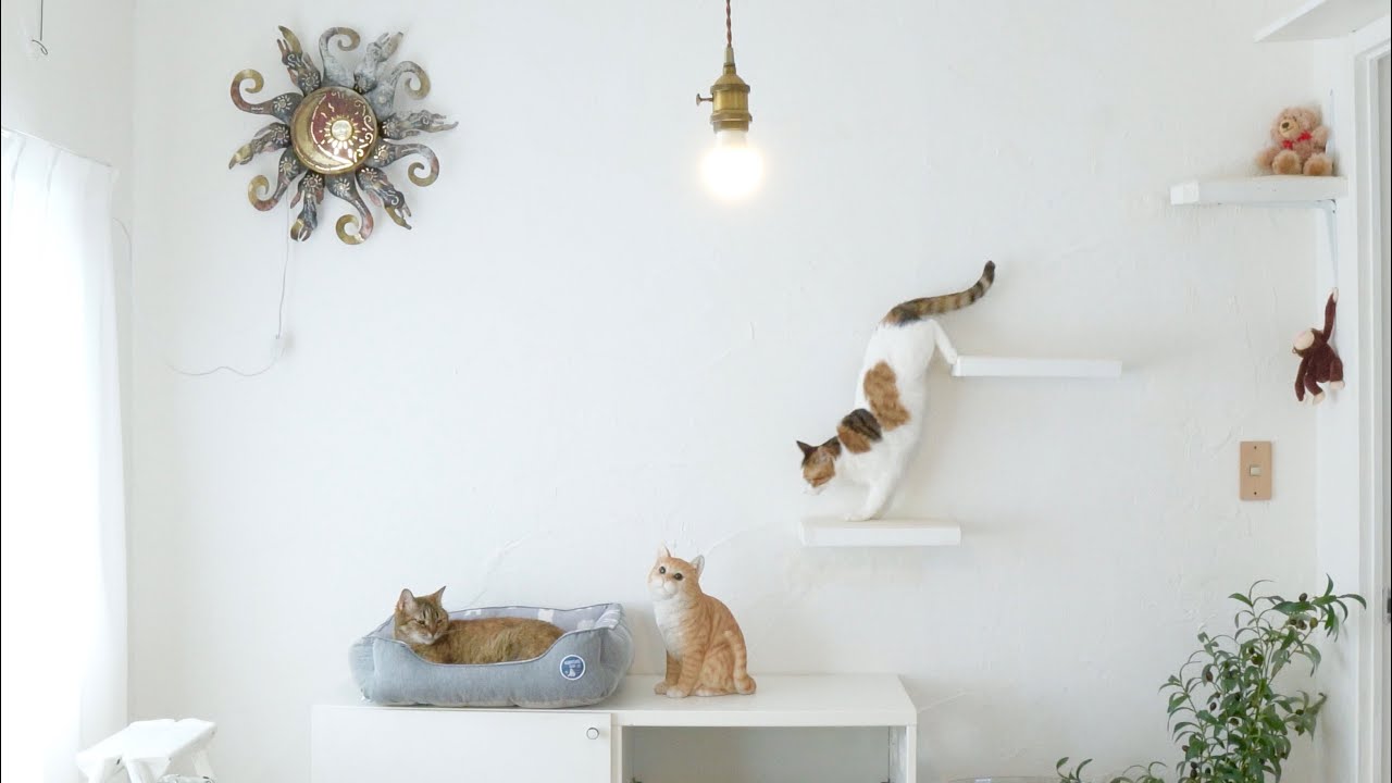 DIY】スッキリしたキャットウォークを設置したら…可愛すぎるぅうぅ