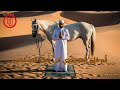 نشيد قُم فإن العِزَّ يجري في دماءِ المسلمين - دعوة للنهوض والعزة ✨🌍
