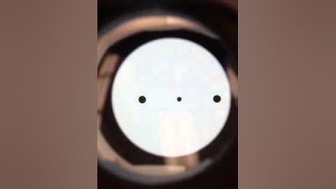 Macular Pigment Optical Density (MPOD) Testing