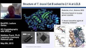 2D Crystallography with XFELs