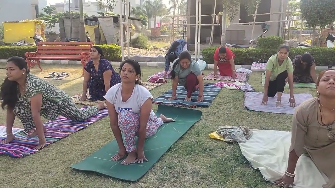 सूर्य को अर्पित हर नमस्कार, स्वास्थ्य, शक्ति और शांति का उपहार✨