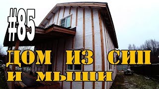 #85 Мыши в доме из СИП #85 Мыши в доме из СИП
