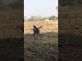 gaon ke cricket mein Karti Hai commentary#funny #funny #comedy #cricket #sorts