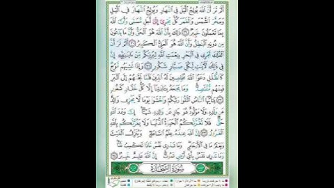 سورة لقمان الآية 31 تلاوة الشيخ أيمن سويد #قليل_دائم_خير