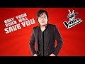 Ari Lasso for The Voice Indonesia