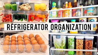 REFRIGERATOR ORGANIZATION  IDEAS & PRODUCTS | Clean, Declutter & Organize with Me! | Miss Louie