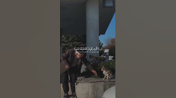#تلاوة_خاشعة #اكسبلور #المصحف #قرآن #محمد_صديق_المنشاوي #المنشاوي