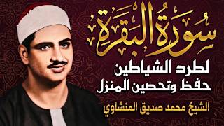 سورة البقرة كاملة .. مرتل | بث مباشر
