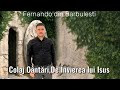 Fernando din Barbulesti - Colaj de Cântări de Înviere