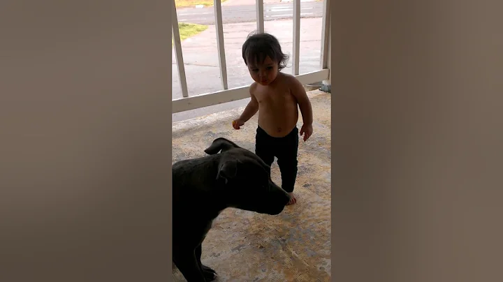 Laila bailando