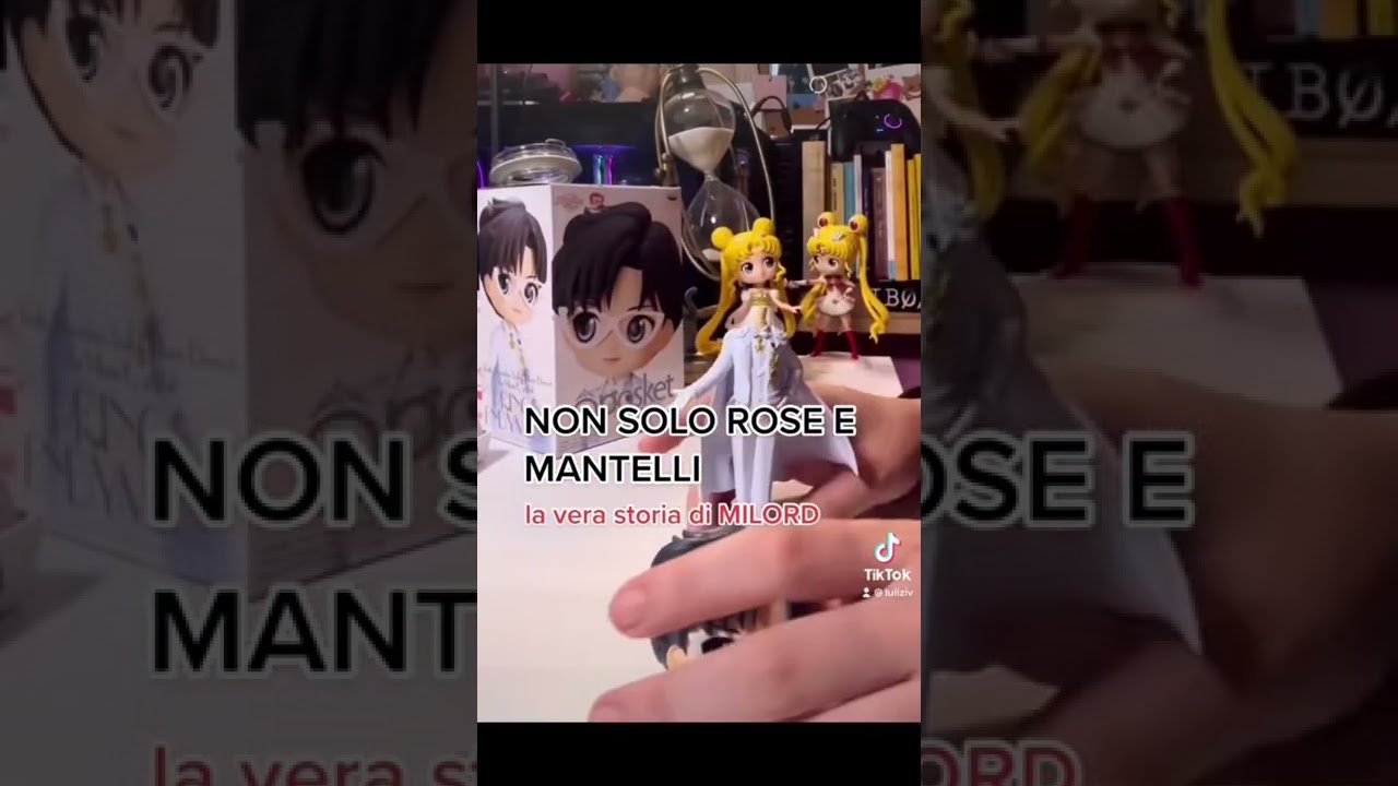 Il mio lavoro qui è finito #manga #anime #sailormoon #geek #luliziv #