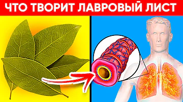 ВОТ ЧТО ТВОРИТ ЛАВРОВЫЙ ЛИСТ! (Реальная Польза и Вред Лаврового Листа)