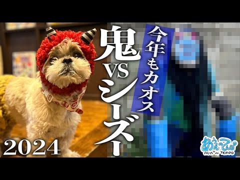 よくわからない犬のアミーボです よくわからない犬のアミーボです