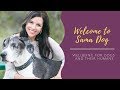 Welcome to  sama dog  wellbeing for dogs  their humans