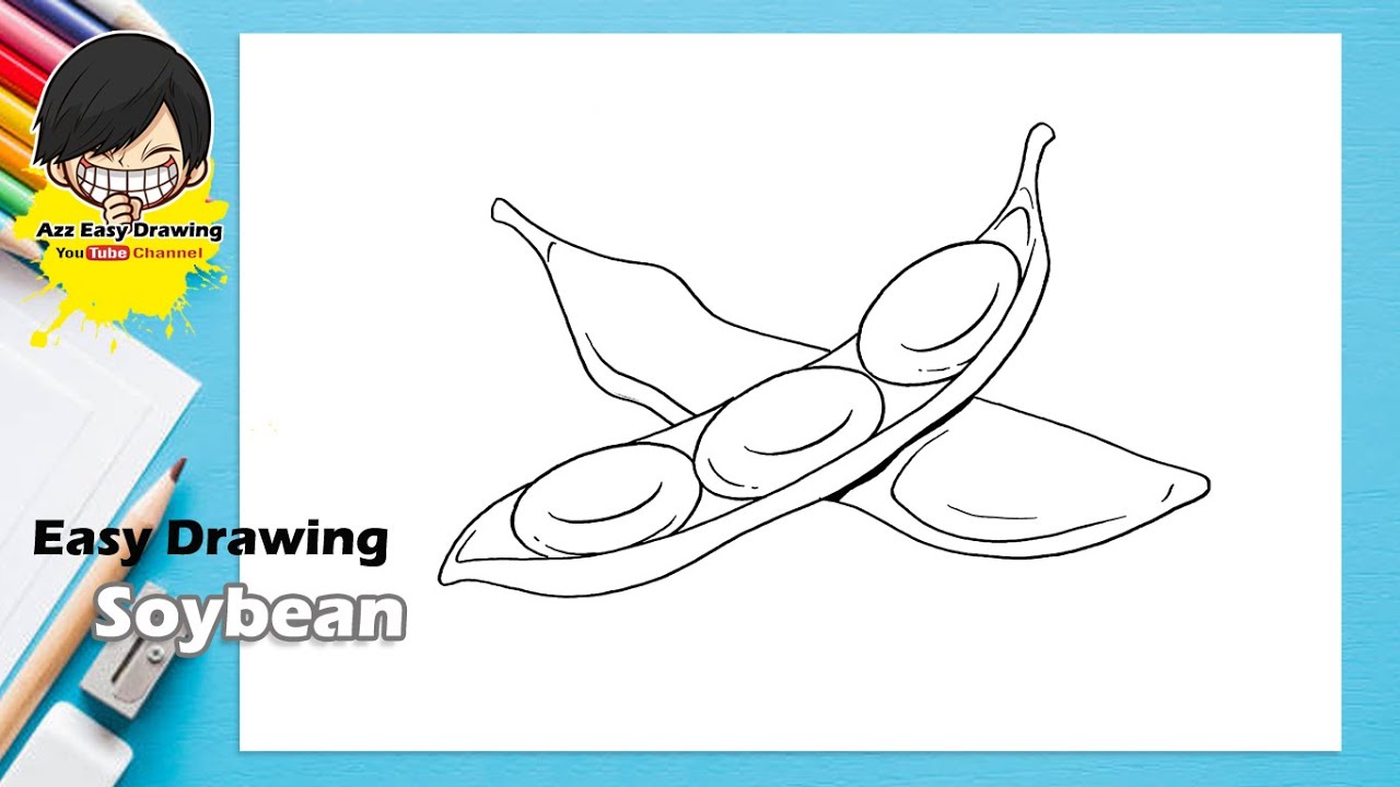 Cartoon Soybean Drawing - Cartoon - Free Transparent PNG Clipart Images  Download