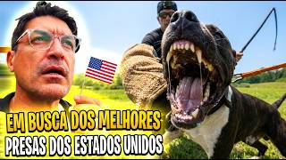 INÉDITO: VISITEI O FAMOSO CANIL REY GLADIADOR E RIVER CITY PRESA NOS EUA | CANE CLUB KENNEL