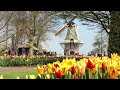 Best of Keukenhof 2021 - 4K