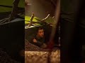 minnions trap in ants colony survive