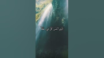 واتس اب القرآن الكريم سعد الغامدي سورة السجدة