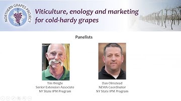 Implementing NEWA Weather and Pest Model Information into a Vineyard IPM Strategy