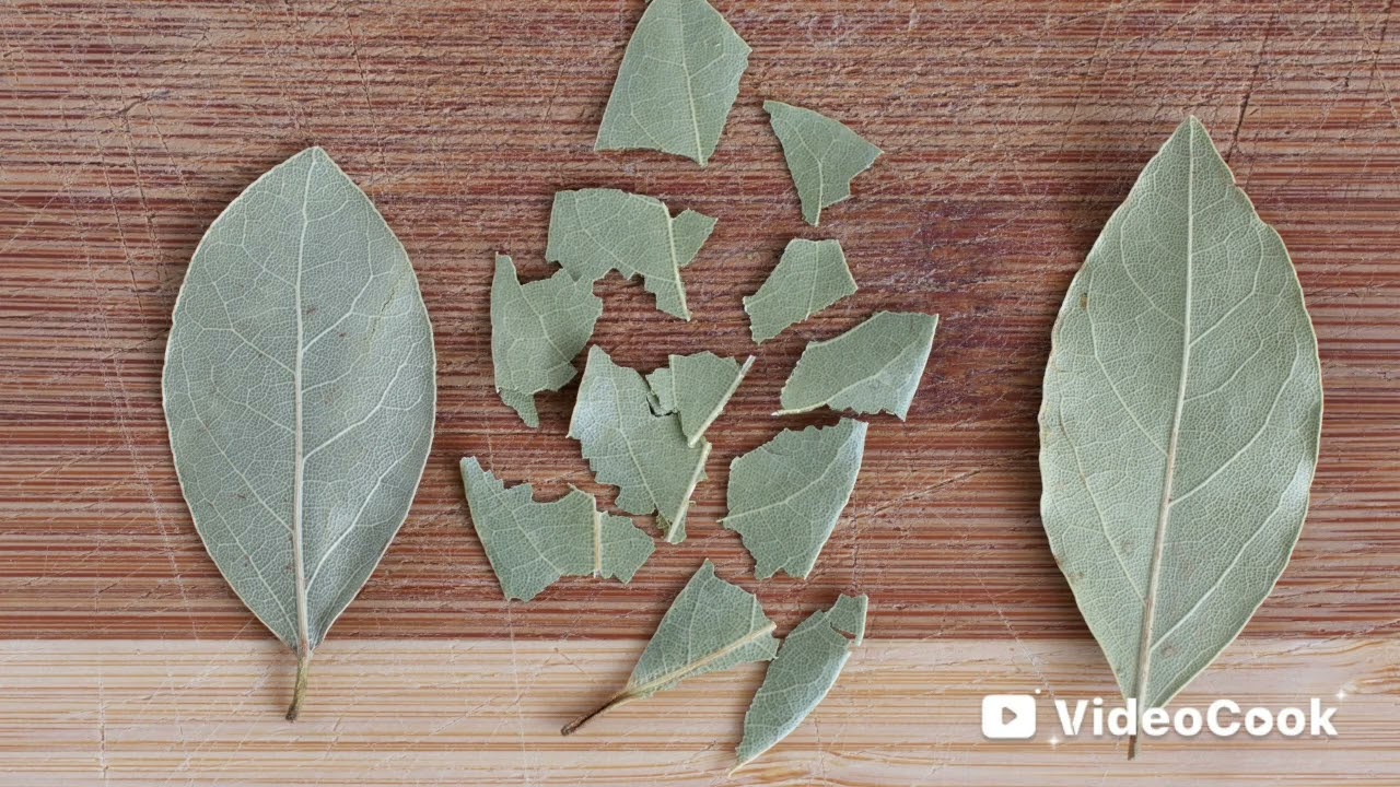 وداعا  للصراصير طرق التخلص من صراصير المطبخ نهائيا وبعض المعلومات عنها