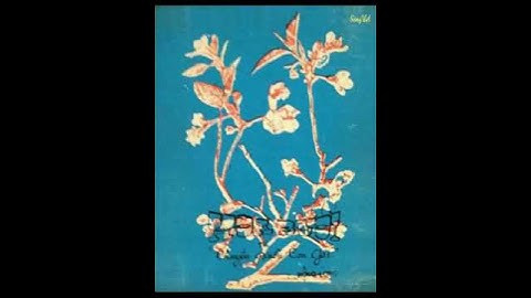 Hoa Bưởi - Tức Chuyện Buồn Con Gái (Mộng Long) Thanh Tuyền