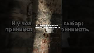 Ислам не распространялся мечом и не принуждает к вере в Аллаха #ислам #религия #коран #мухаммад