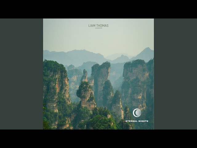 Liam Thomas - Connected