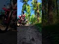 Freedom in the Morvan TET crf300l #roadtrip #motorcycle #crf300l