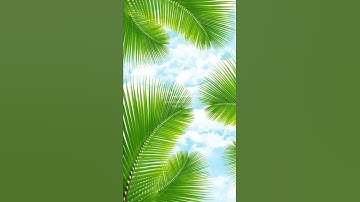 والله بما تعملون بصير(تلاوة من سورة الحديد )🌹قرآن كريم 🌹القارئ شريف مصطفى