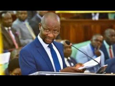 Ssemujju And Muwanga Kivumbi Blast Gov T On Borrowing Without And Outside A Loan Plan Stop It Now