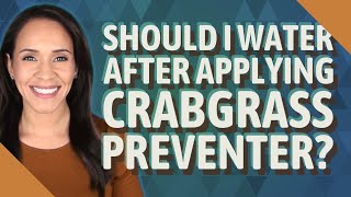 Should I water after applying crabgrass preventer?