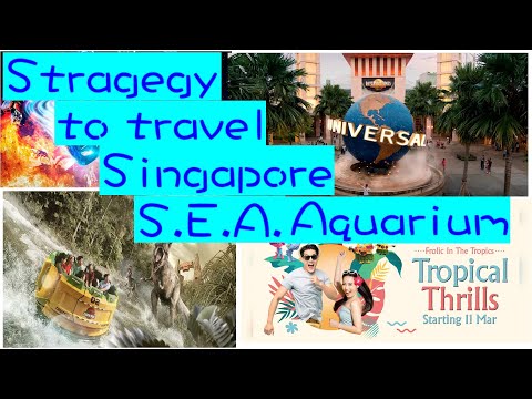 travel food strategy Singapore Singapore S.E.A. Aquarium旅游美食攻略 新加坡 Japan hongkong spoken english