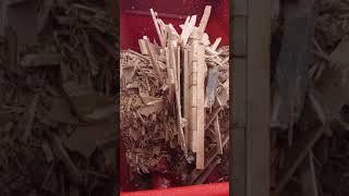 SEKO SAMURAI 5 GCT   HÄCKSELWAGEN HOLZSHREDDER, WOODSHREDDER, HACKSCHNITZEL  ALTHOLZZERKLEINERUNG