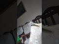   اغاني كروان يغرد ويقلد اصوات يمكل للكوكتيل تقليدها