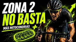 Zona 2 NO basta: añade esto para mejorar tus mitocondrias Zona 2 NO basta: añade esto para mejorar tus mitocondrias