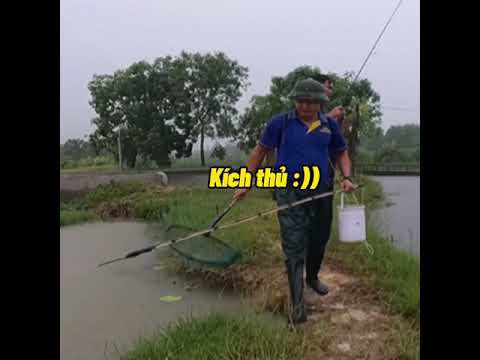 #shorts Cần 2 khúc phát ra âm thanh tè tè tè...lạ quá !!!