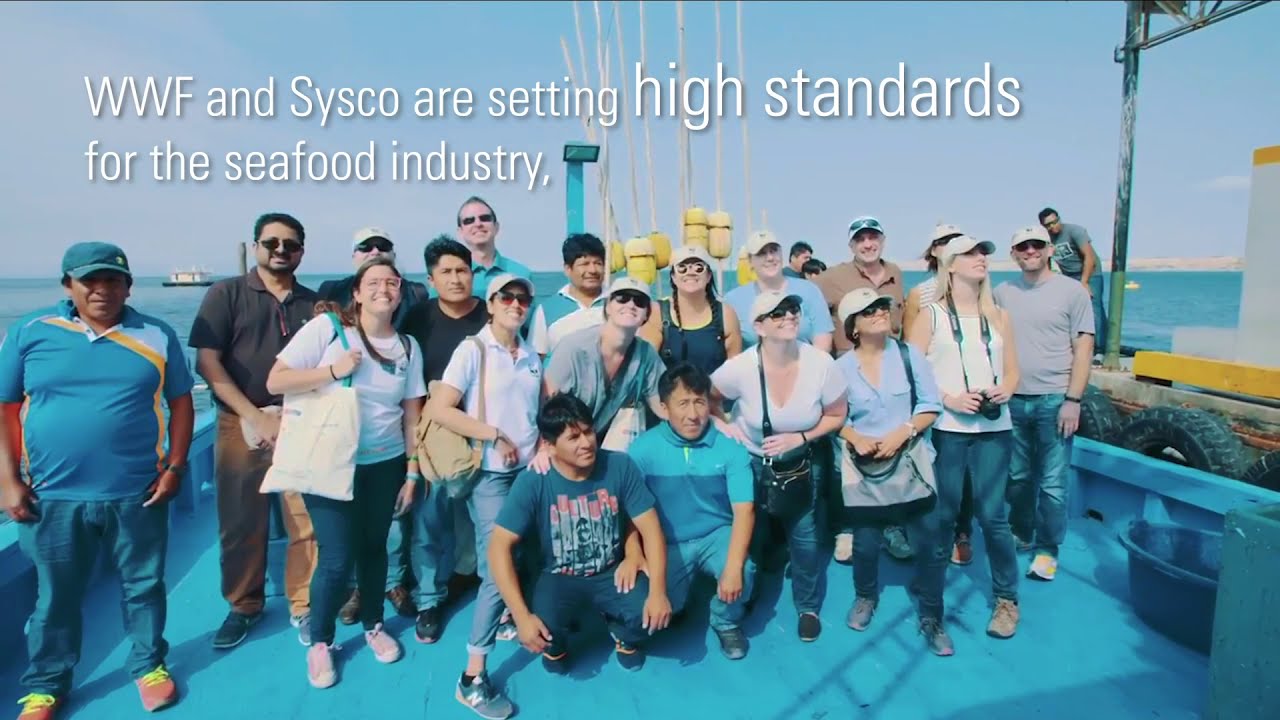 Sysco Announces New 2025 Seafood Sustainability Commitments YouTube