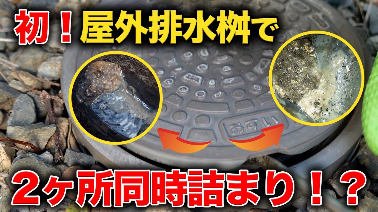 こんなの初めて見た！まさか屋外で２箇所の詰まり？【花のお掃除 #216】