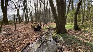 Tüschenbroich