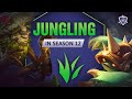 Season 12 Jungle | Everything you NEED to know.