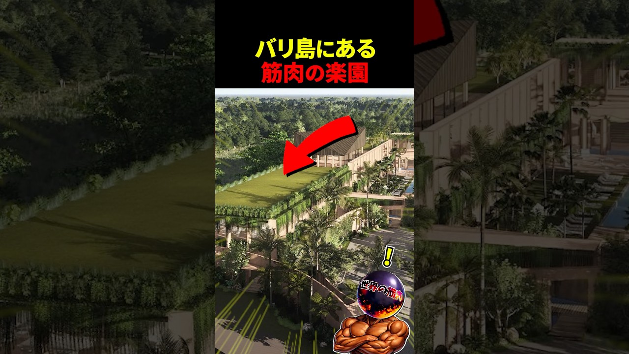 バリ島の全てが揃ったジムがヤバい【世界の筋肉】