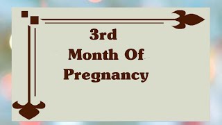 3 Months Of Pregnancy || Third Month Of Pregnancy Information | Symptoms Of 3rd Month Of Pregnancy