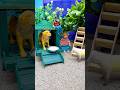Mini puppy house diy mini motor water pump science project #waterpump #364