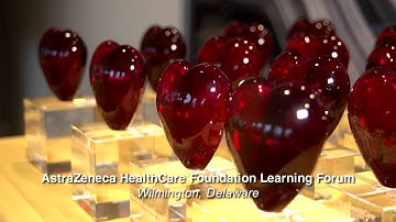 AZHCF Learning Forum: Sharing Lessons Learned