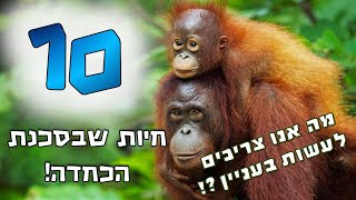 10 חיות שבסכנת הכחדה ! ומה אנו צריכים לעשות בעניין ?! | קצת מידע