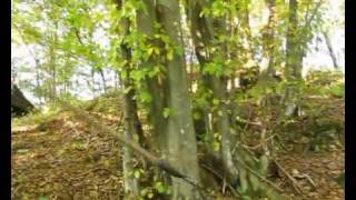 Goshavstvo 12 - Kopja