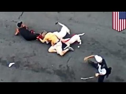 Жительница Бронкса натравила на мужчину двоих питбулей