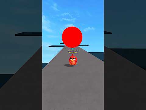 Kutum Kutu Angry Bird Vs Speed Challenge Roblox Shorts 