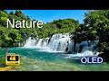 Calming Nature Scenery in 4K Ultra HD | Ambient Nature Video for Large Screens